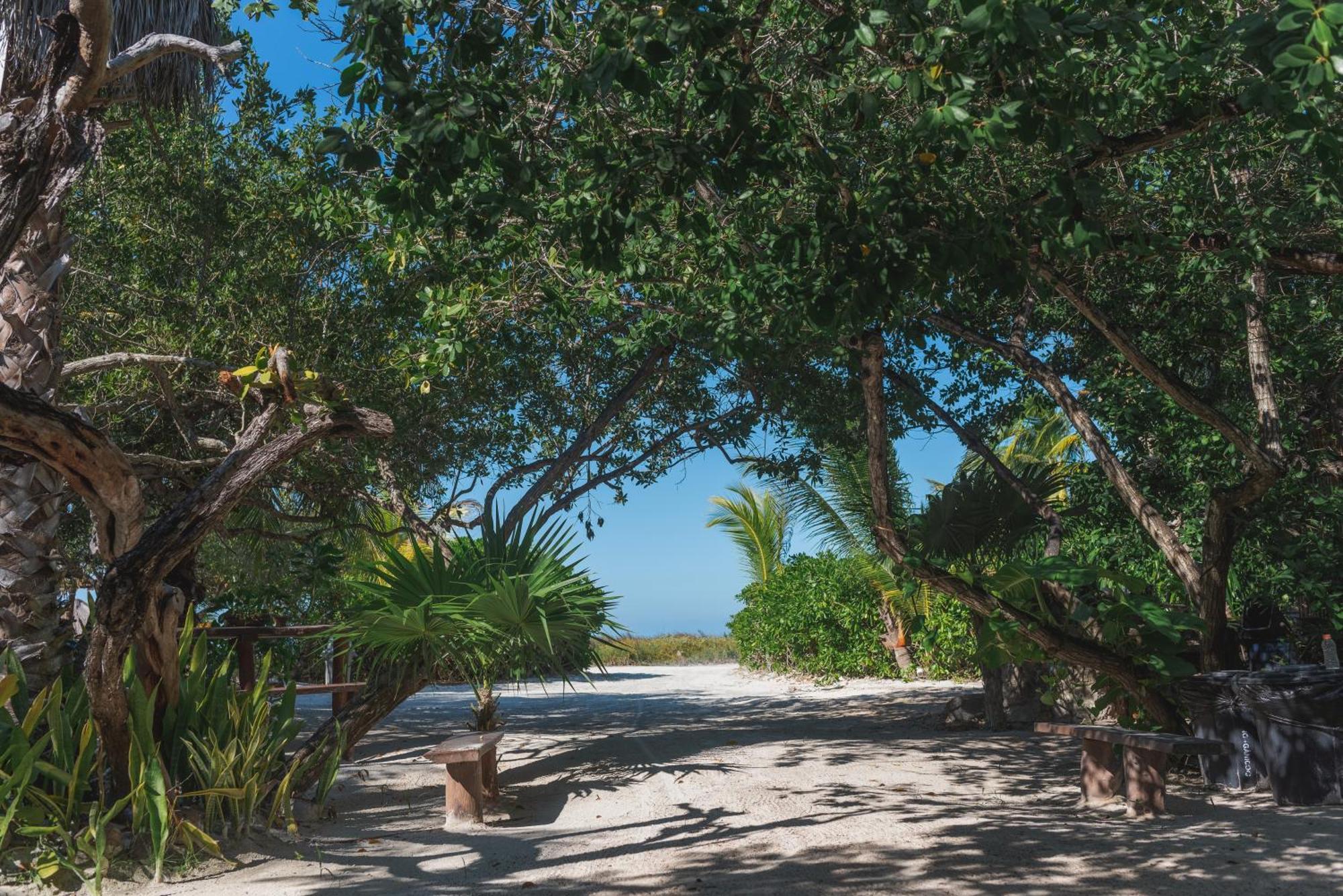 达华拉之家酒店 Isla Holbox 外观 照片